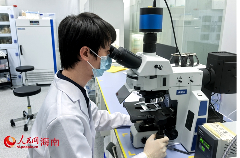 华大生命科学研究院实验研发高级工程师韩默在研究深海微生物。人民网记者 毛雷摄